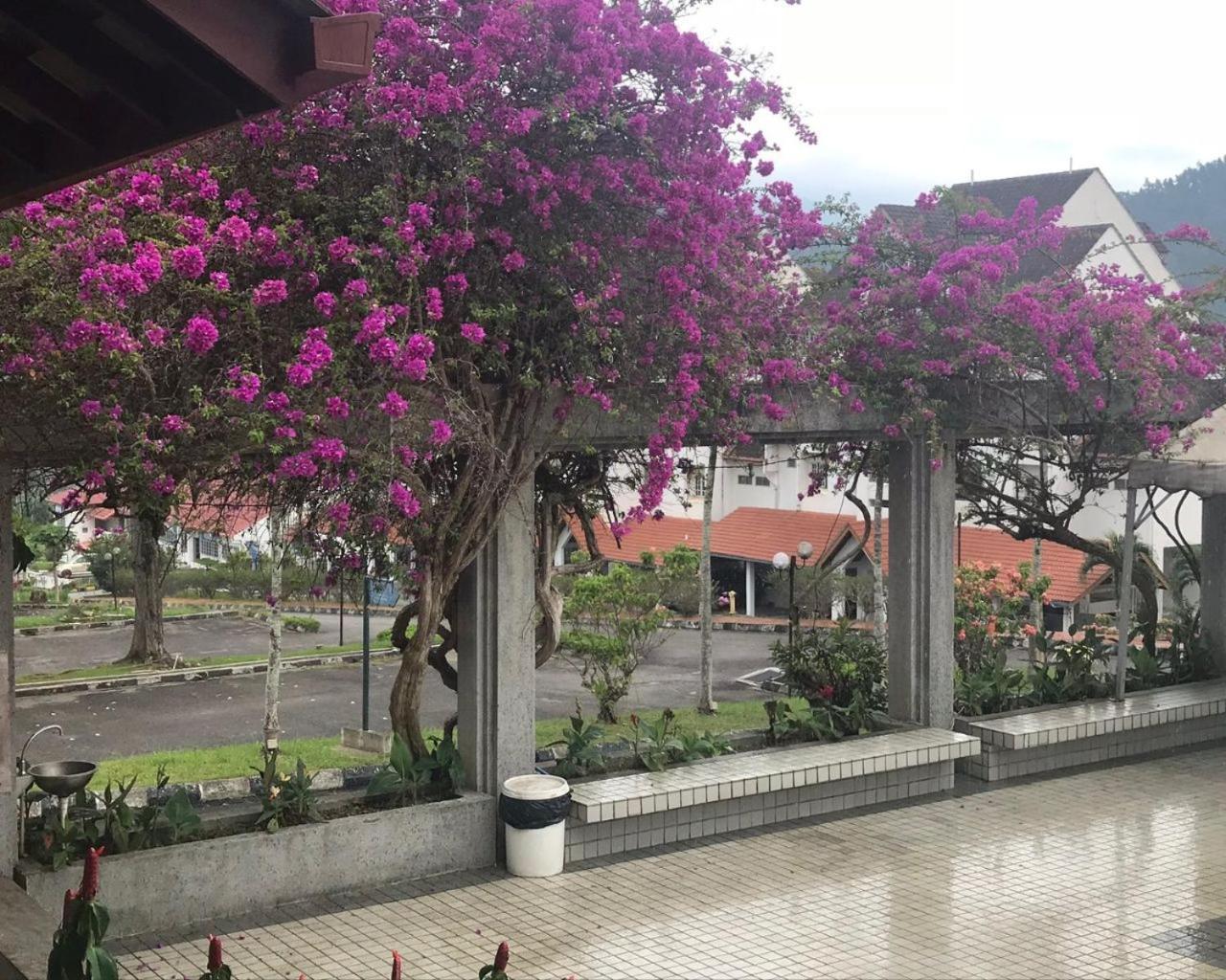 Thatniceplace, Selesa Hillhomes, Bukit Tinggi, Janda Baik, Genting Bentong Buitenkant foto